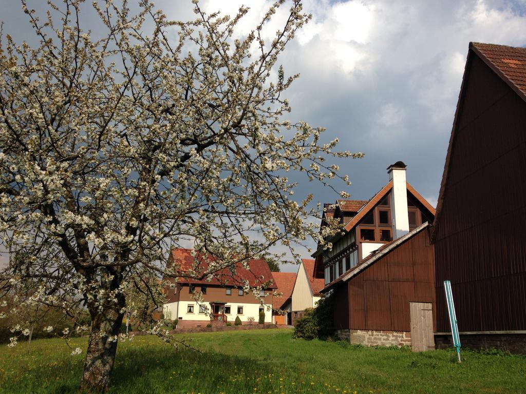 Ferienhaus Annabell Weisbach  Exteriör bild