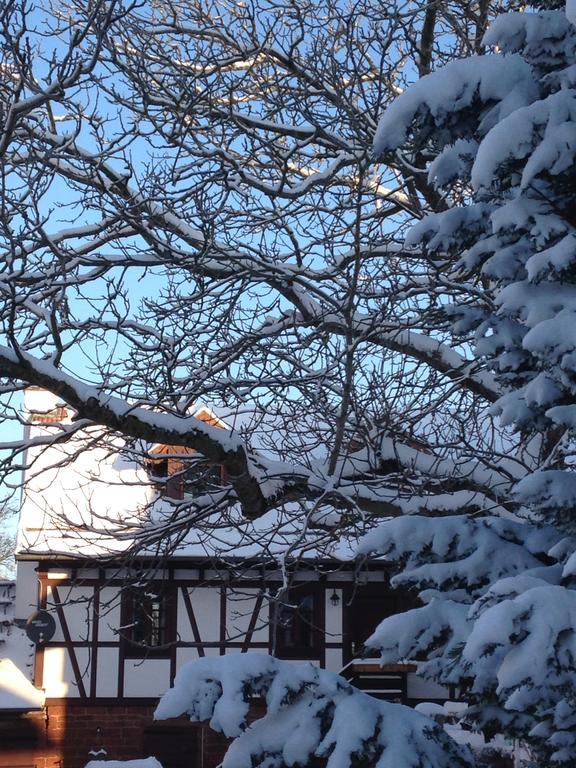 Ferienhaus Annabell Weisbach  Exteriör bild